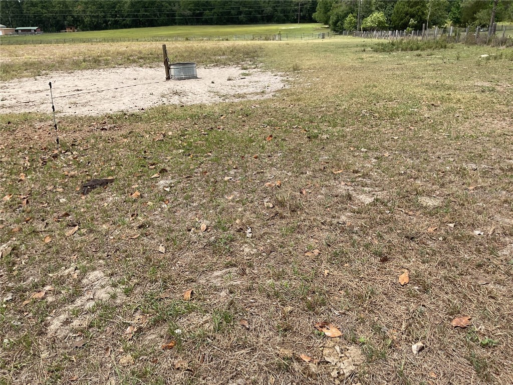 9750 NE 49th Street Bronson FL 32621 OM702731 image7