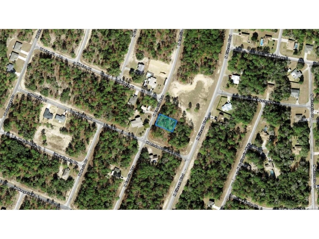 9751 N Emellia Avenue Citrus Springs FL 34434 O6282042 image1