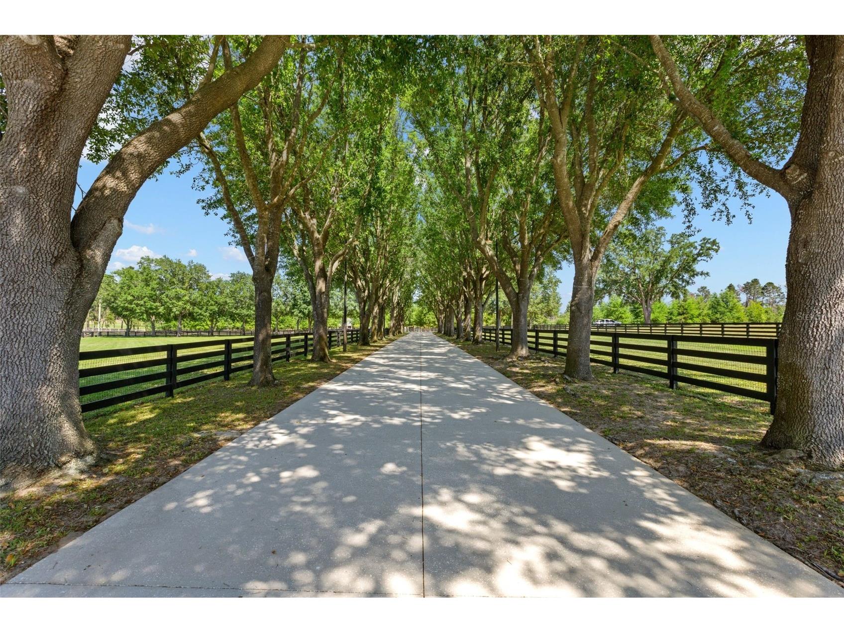 9751 Quiet Lane Winter Garden FL 34787 - FLAT LAKE O6389101 image2