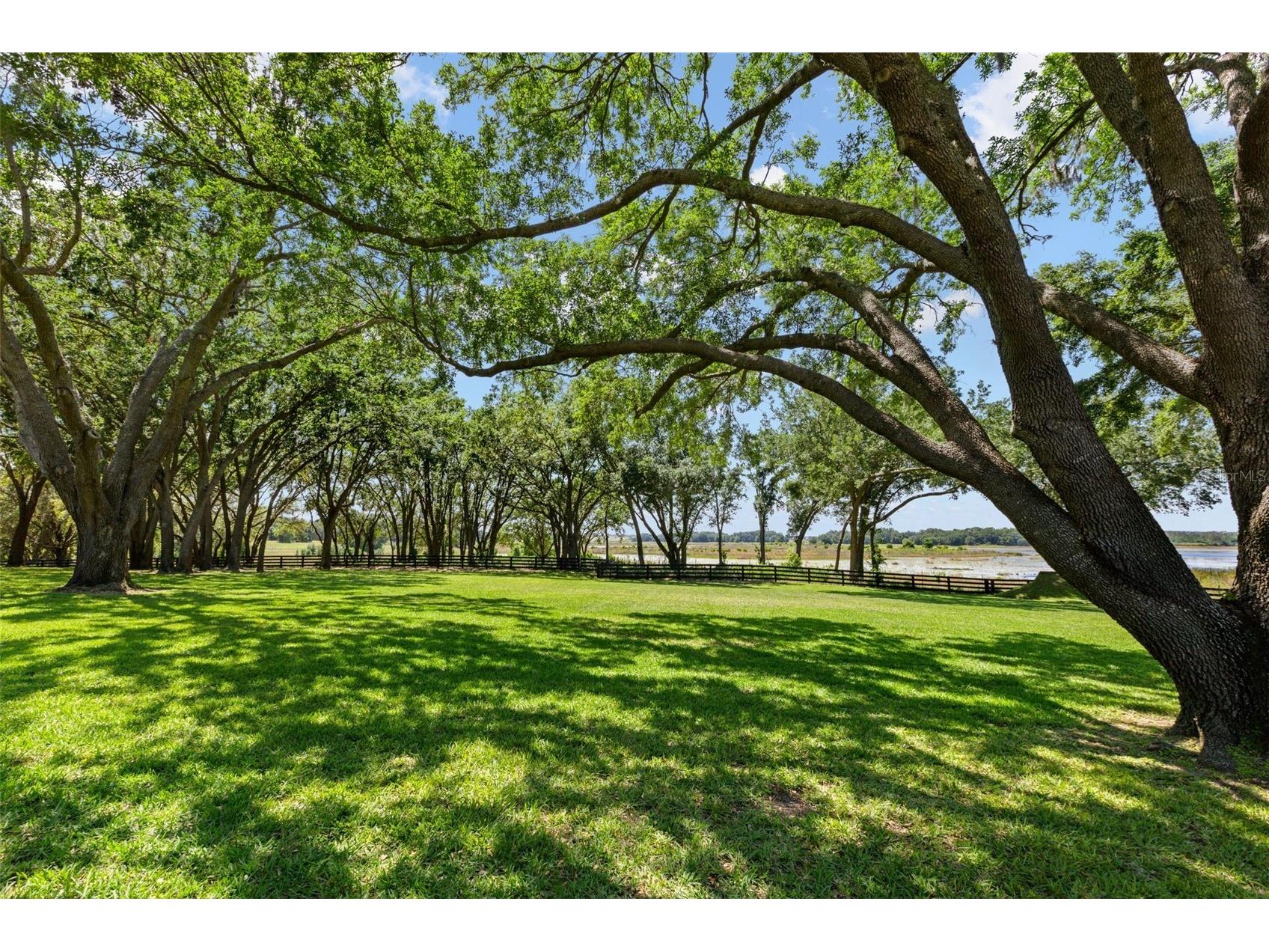 9751 Quiet Lane Winter Garden FL 34787 - FLAT LAKE O6389101 image45