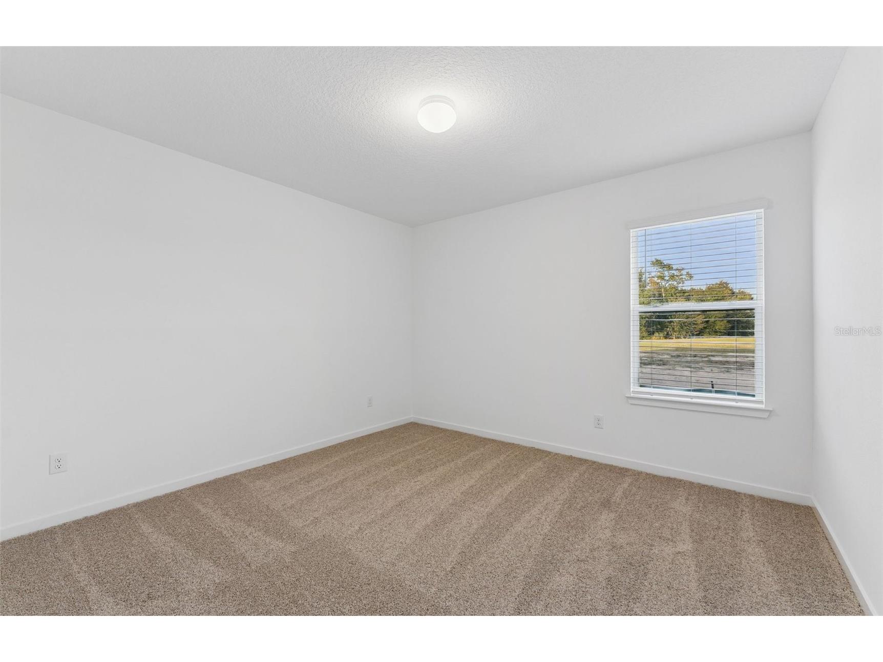 9752 Crescent Moon Drive Riverview FL 33578 TB8491447 image9