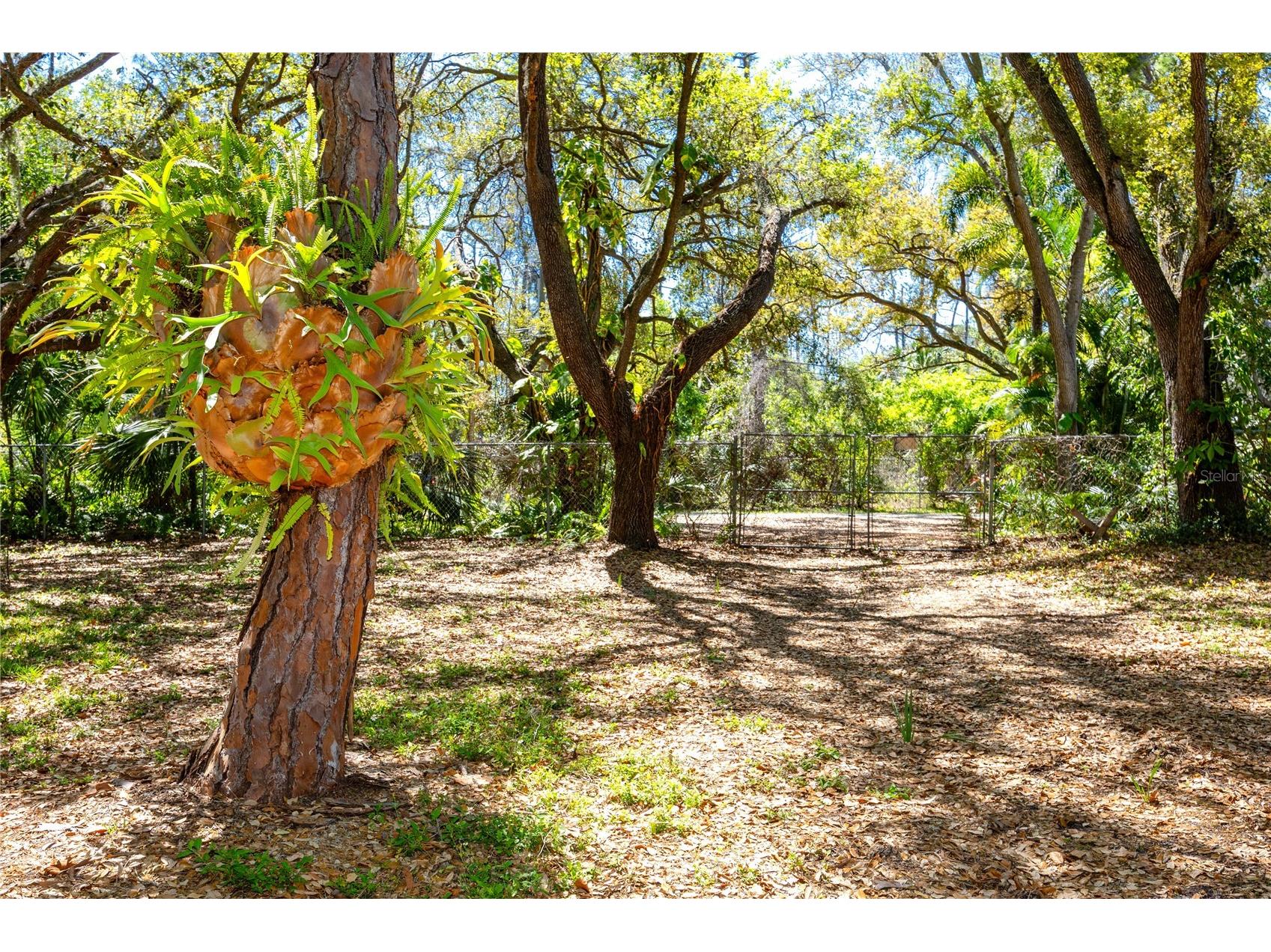 9753 78th Avenue N Seminole FL 33777 TB8493095 image7