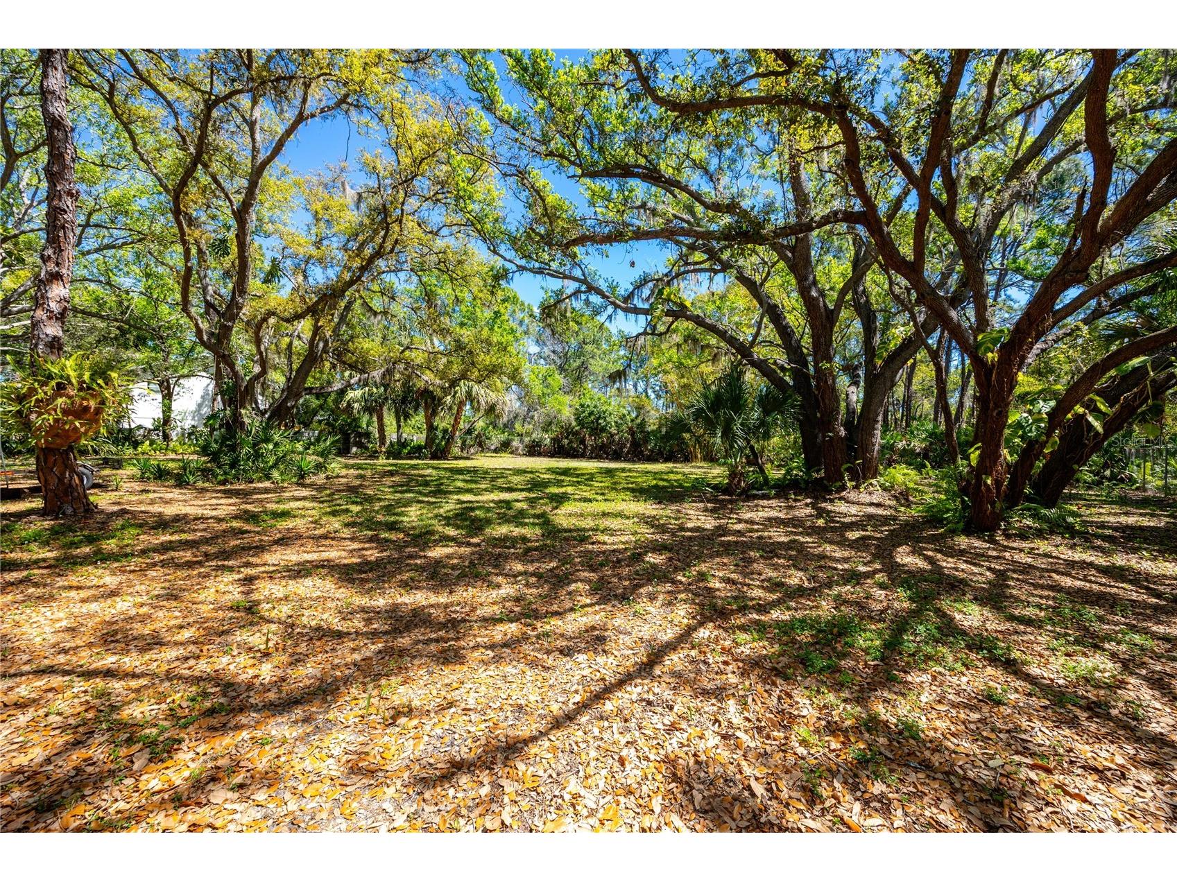 9753 78th Avenue N Seminole FL 33777 TB8493095 image9