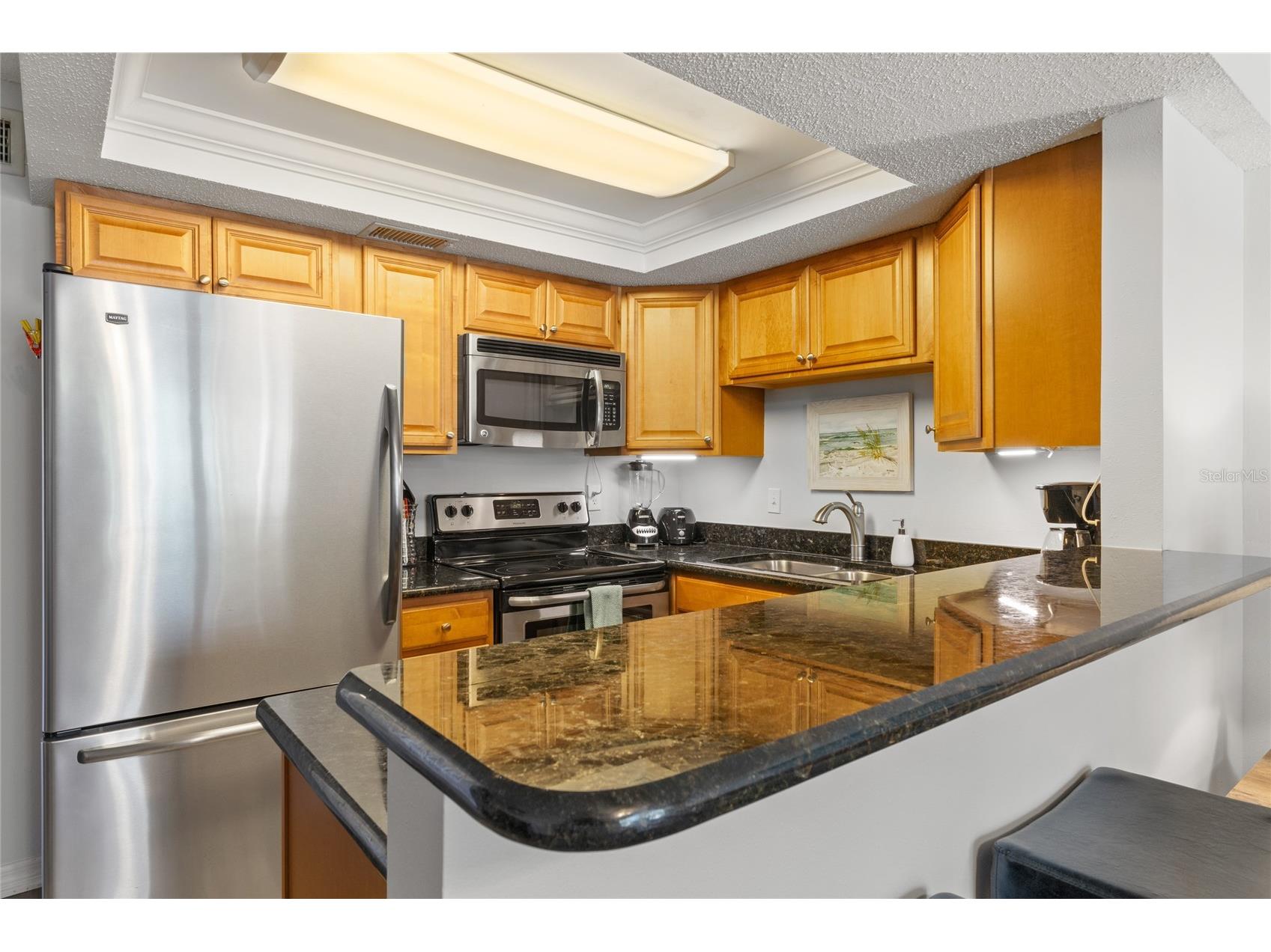 9755 Harrell Avenue #102 Treasure Island FL 33706 TB8505055 image12