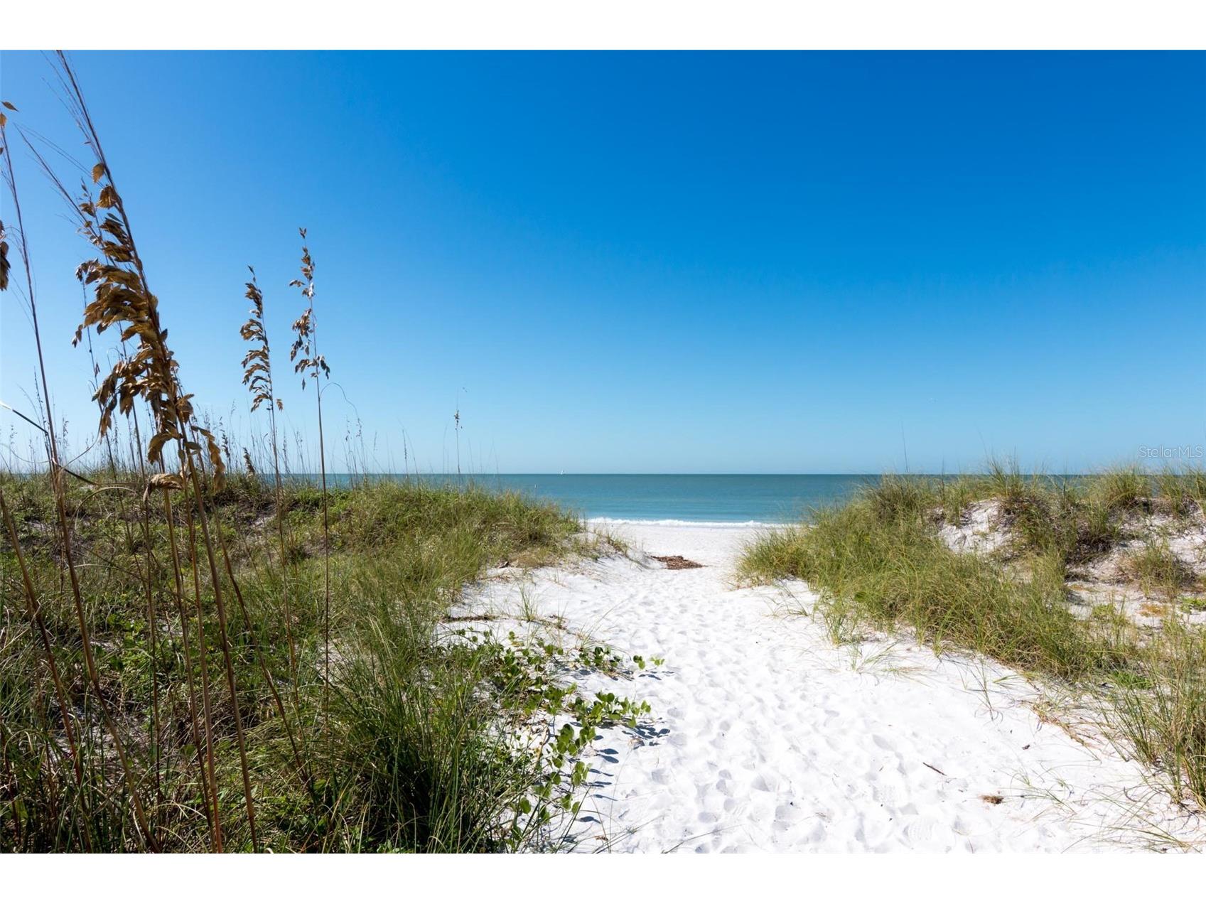 9755 Harrell Avenue #102 Treasure Island FL 33706 TB8505055 image28