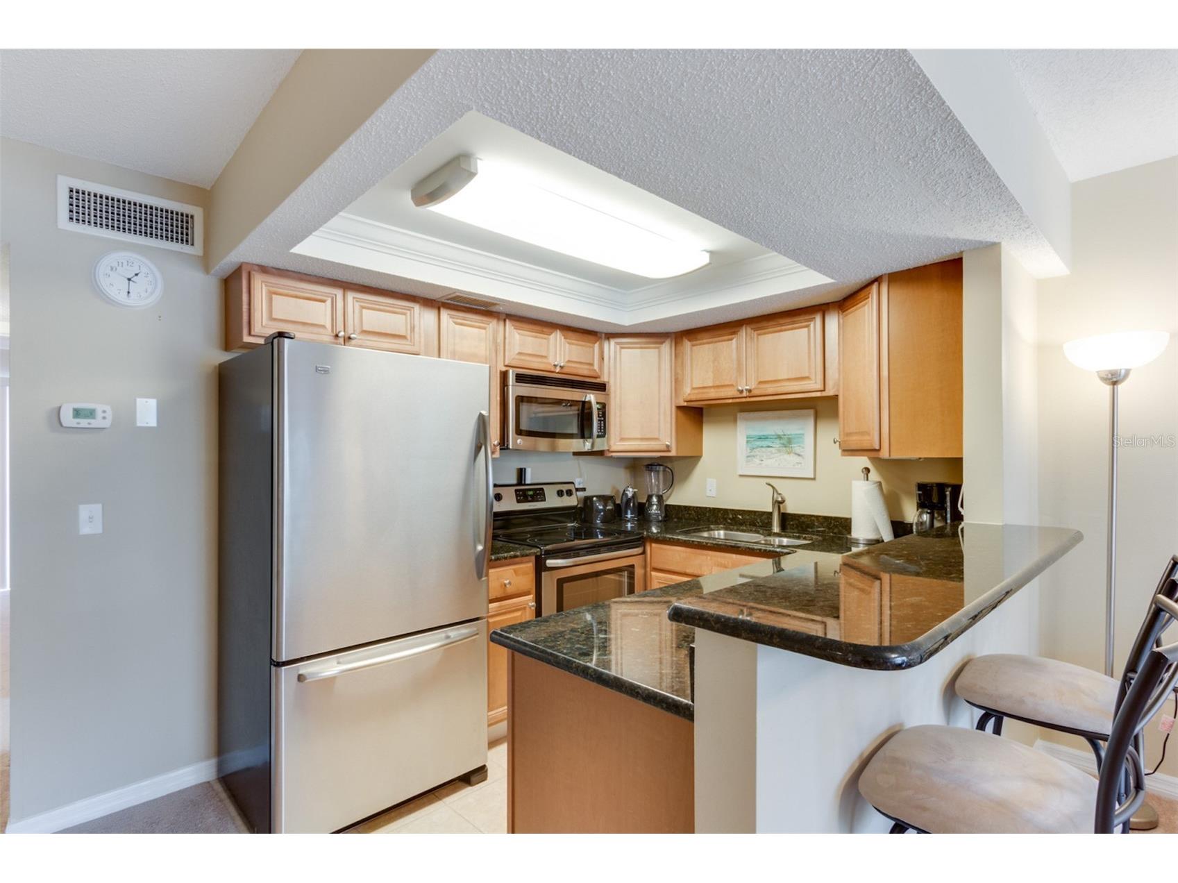 9755 Harrell Avenue #102 Treasure Island FL 33706 TB8505055 image9