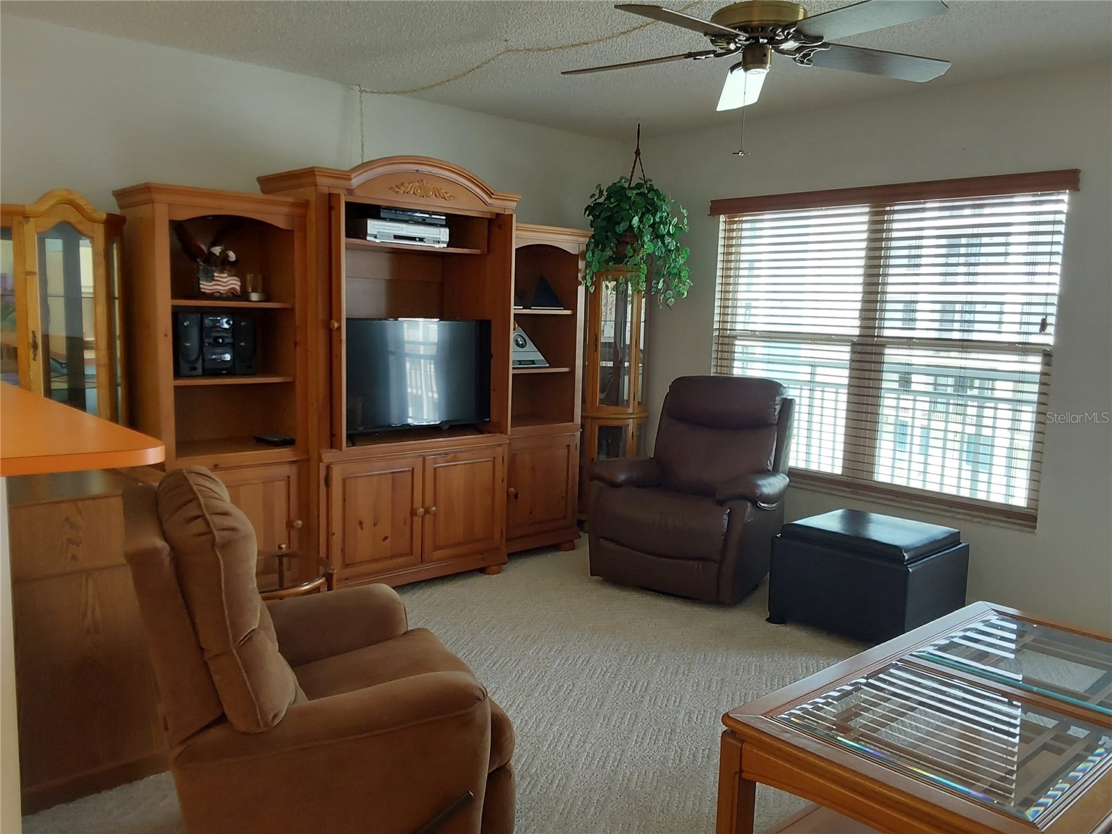 9755 Harrell Avenue #206 Treasure Island FL 33706 - BLIND PASS TB8457481 image14