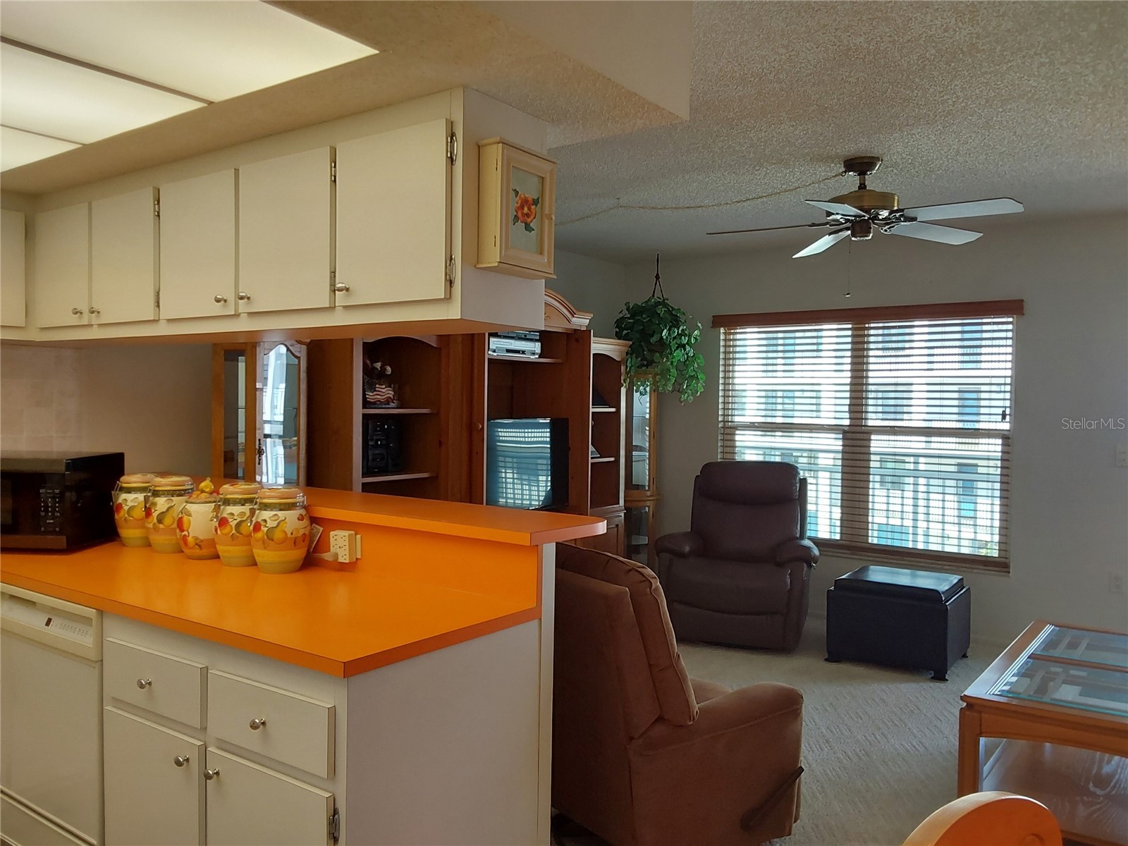9755 Harrell Avenue #206 Treasure Island FL 33706 - BLIND PASS TB8457481 image16
