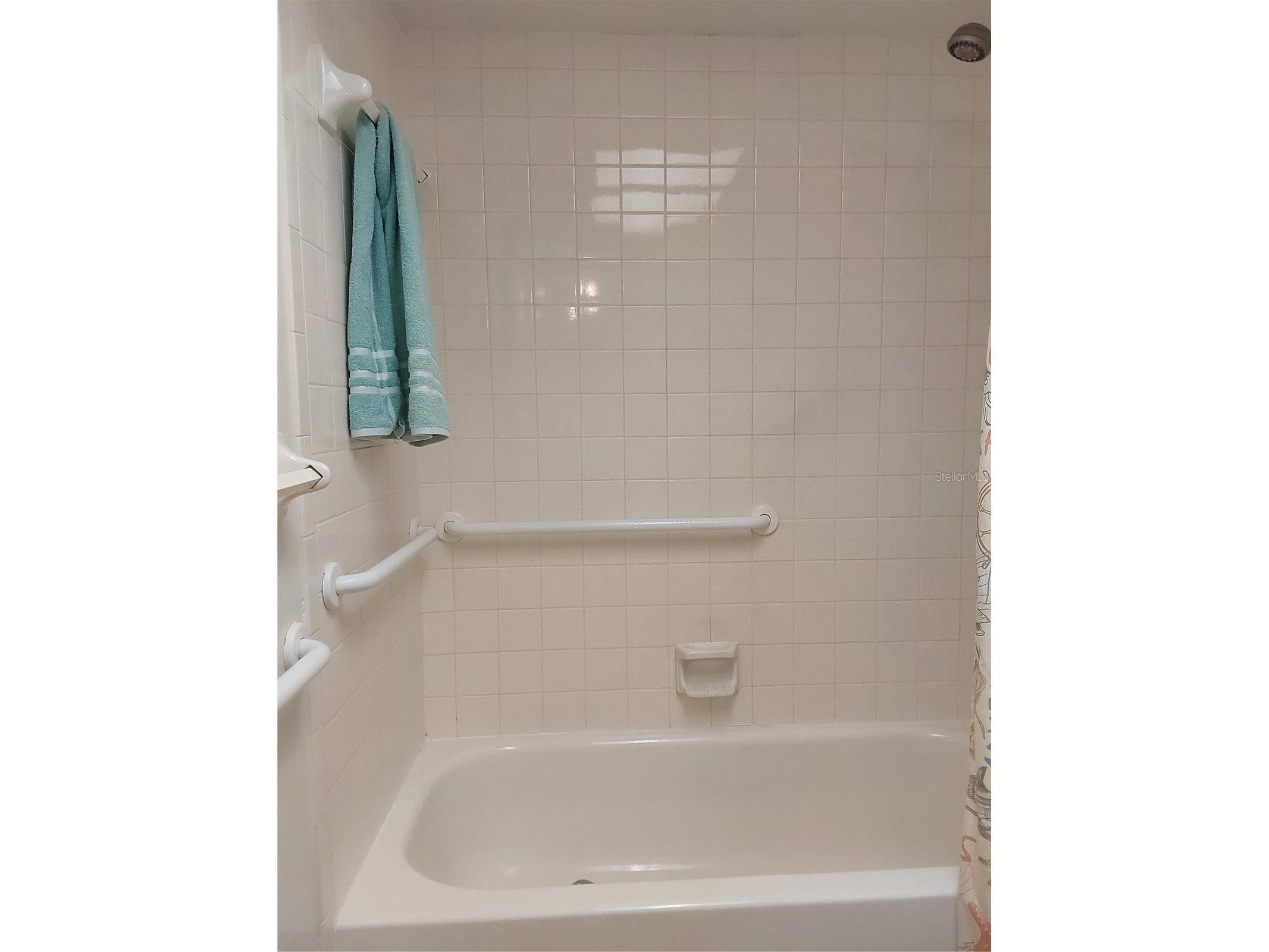 9755 Harrell Avenue #206 Treasure Island FL 33706 - BLIND PASS TB8457481 image30