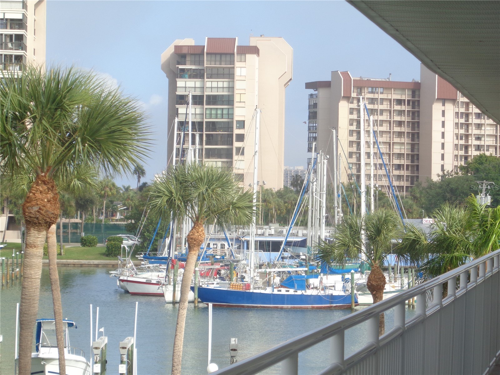 9755 Harrell Avenue #206 Treasure Island FL 33706 - BLIND PASS TB8457481 image6