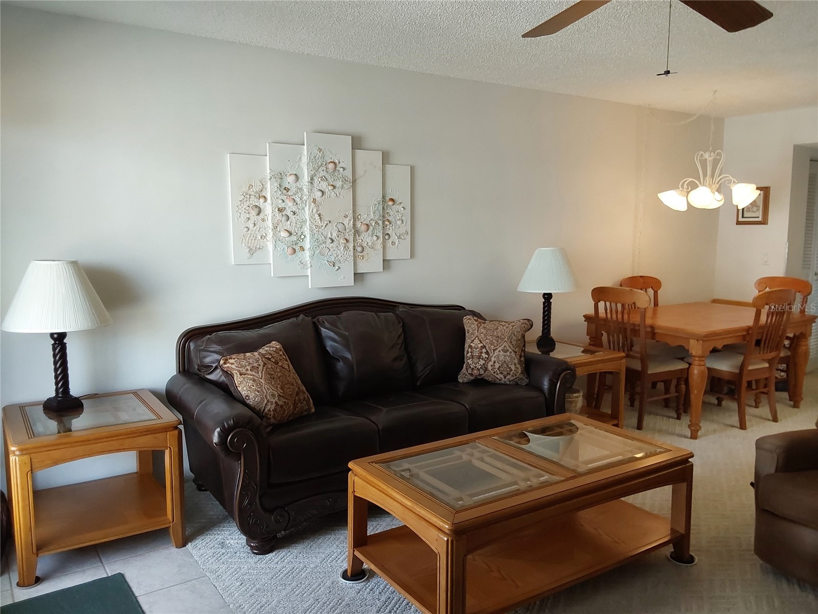 9755 Harrell Avenue #206 Treasure Island FL 33706 - BLIND PASS TB8457481 image9