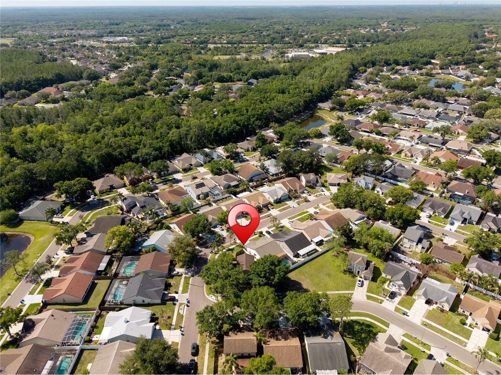 9758 Fox Hollow Road Tampa FL 33647 TB8497890 image42