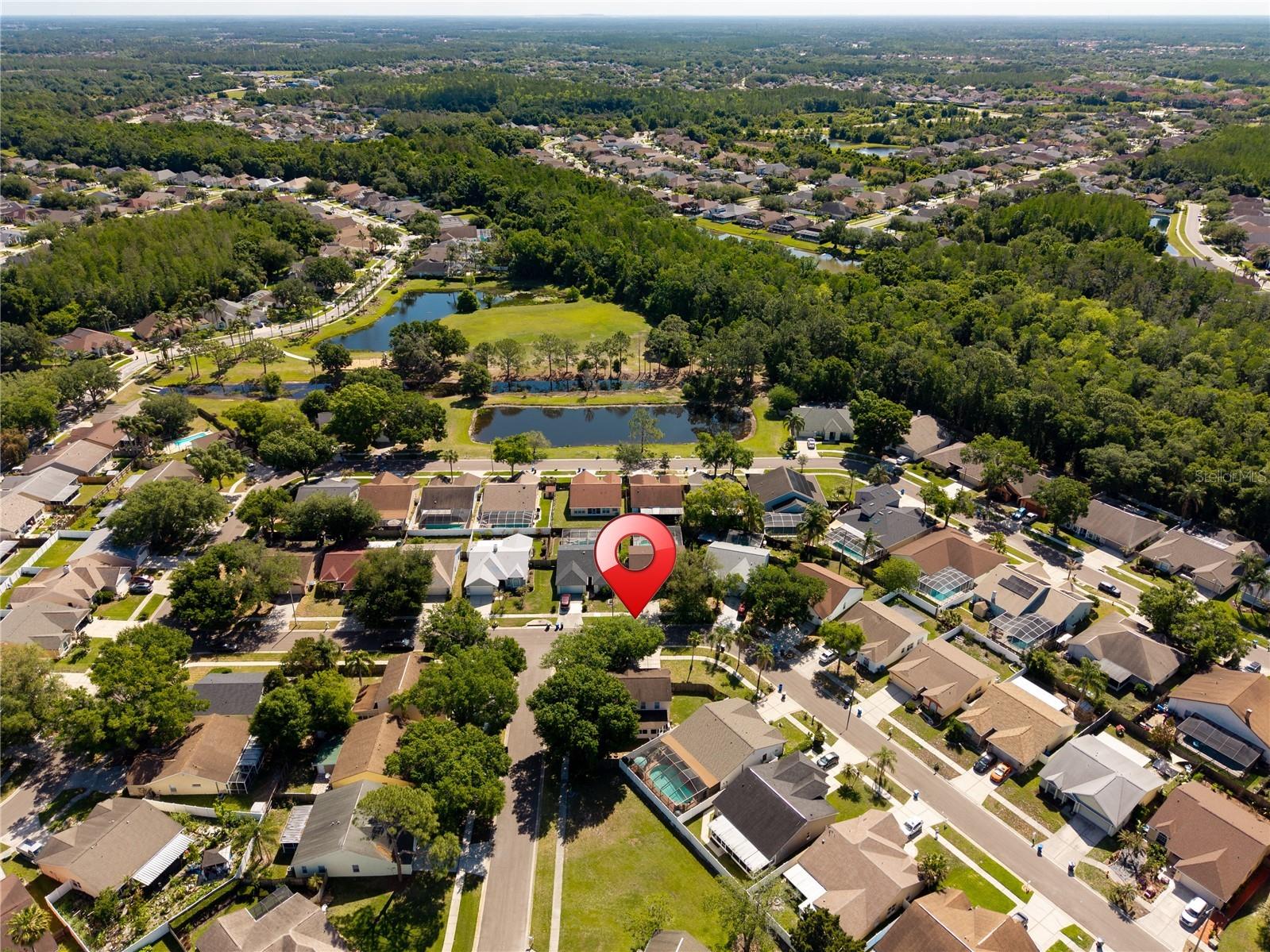 9758 Fox Hollow Road Tampa FL 33647 TB8497890 image48