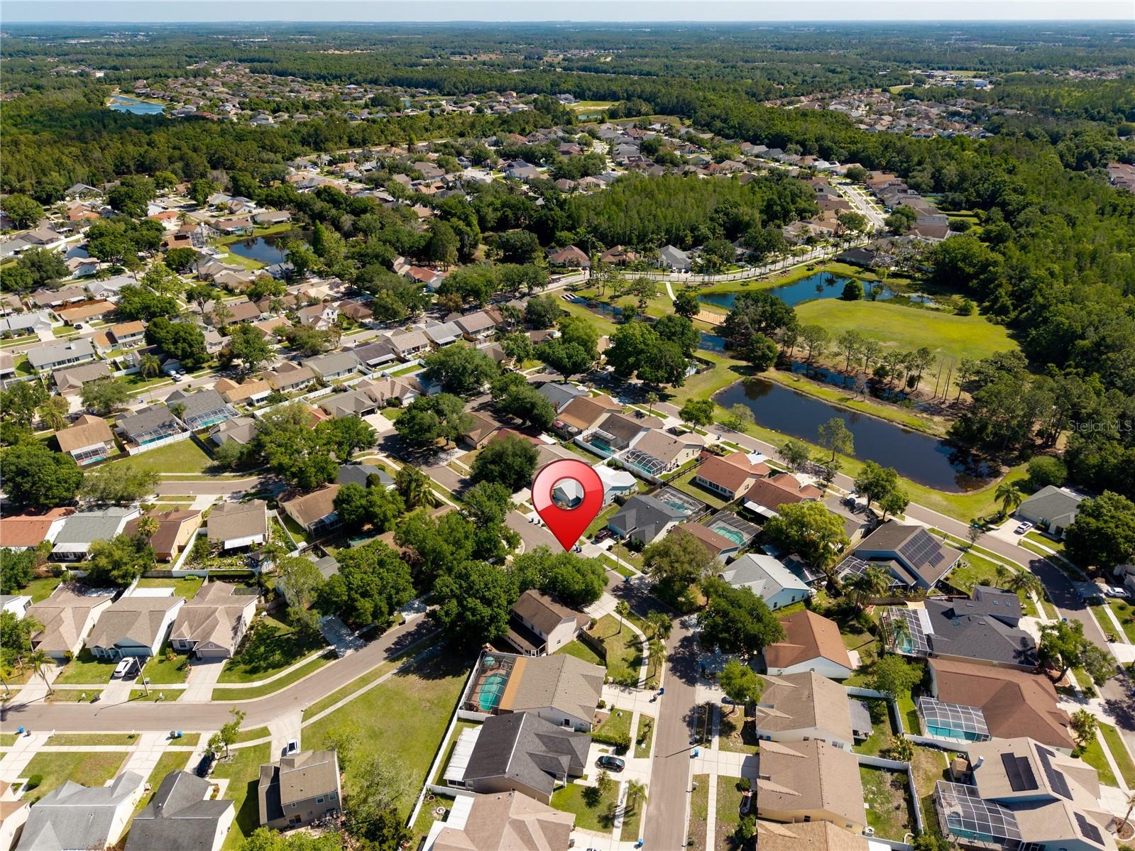 9758 Fox Hollow Road Tampa FL 33647 TB8497890 image49