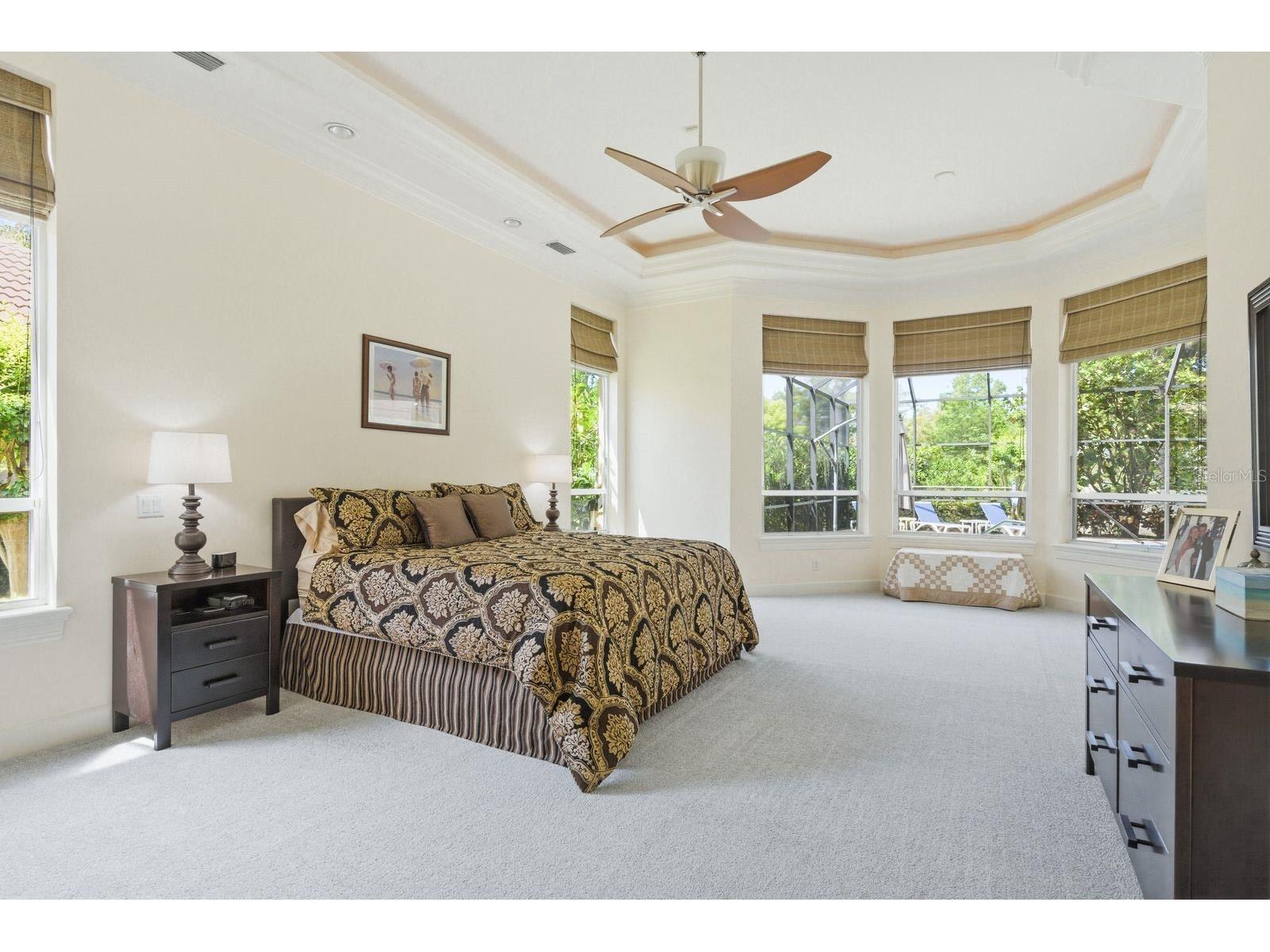 976 Cypress Cove Way Tarpon Springs FL 34688 TB8497692 image26