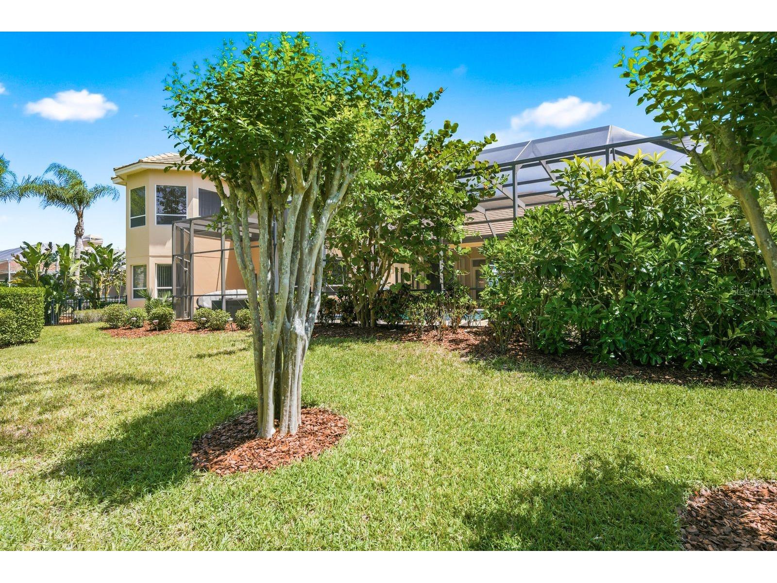 976 Cypress Cove Way Tarpon Springs FL 34688 TB8497692 image65