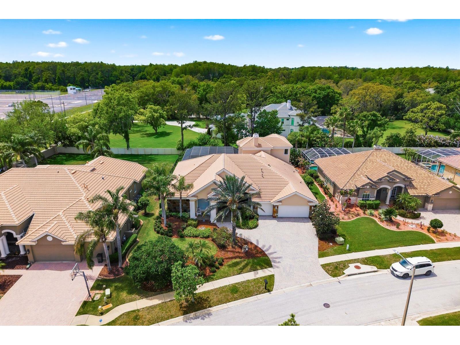 976 Cypress Cove Way Tarpon Springs FL 34688 TB8497692 image71