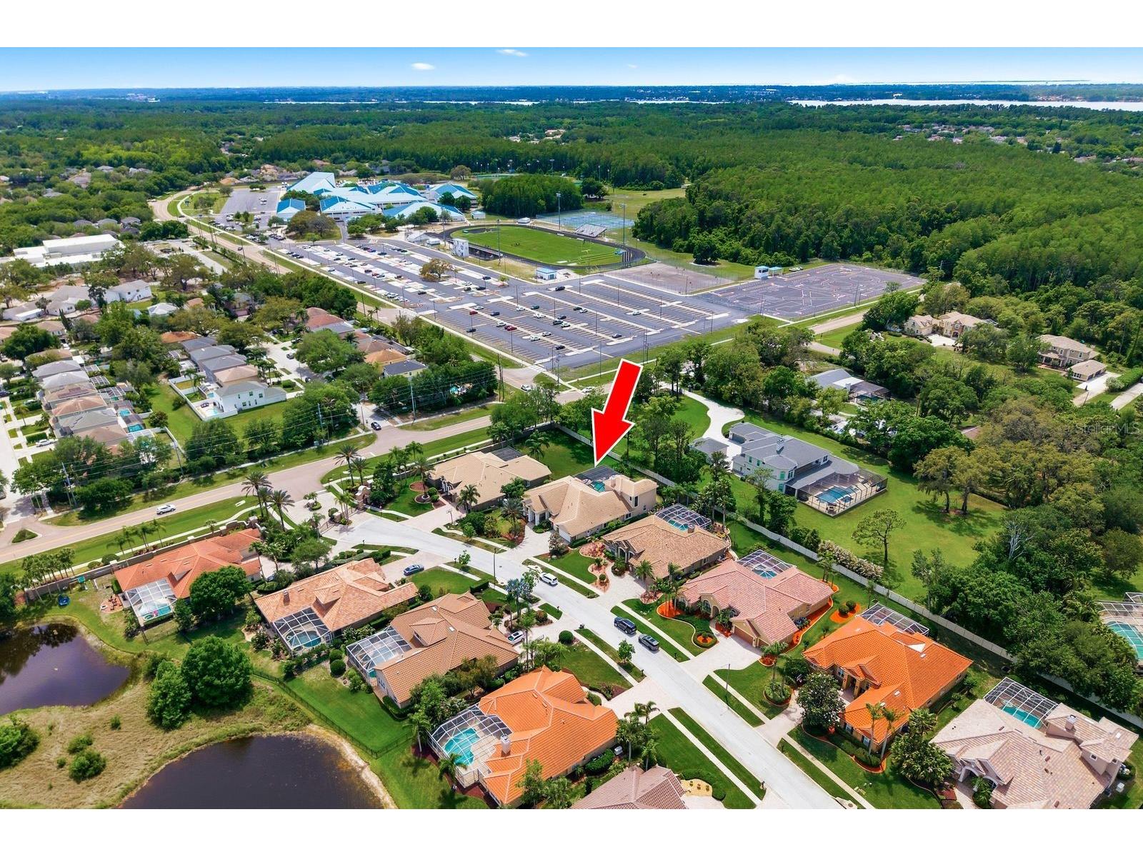 976 Cypress Cove Way Tarpon Springs FL 34688 TB8497692 image73