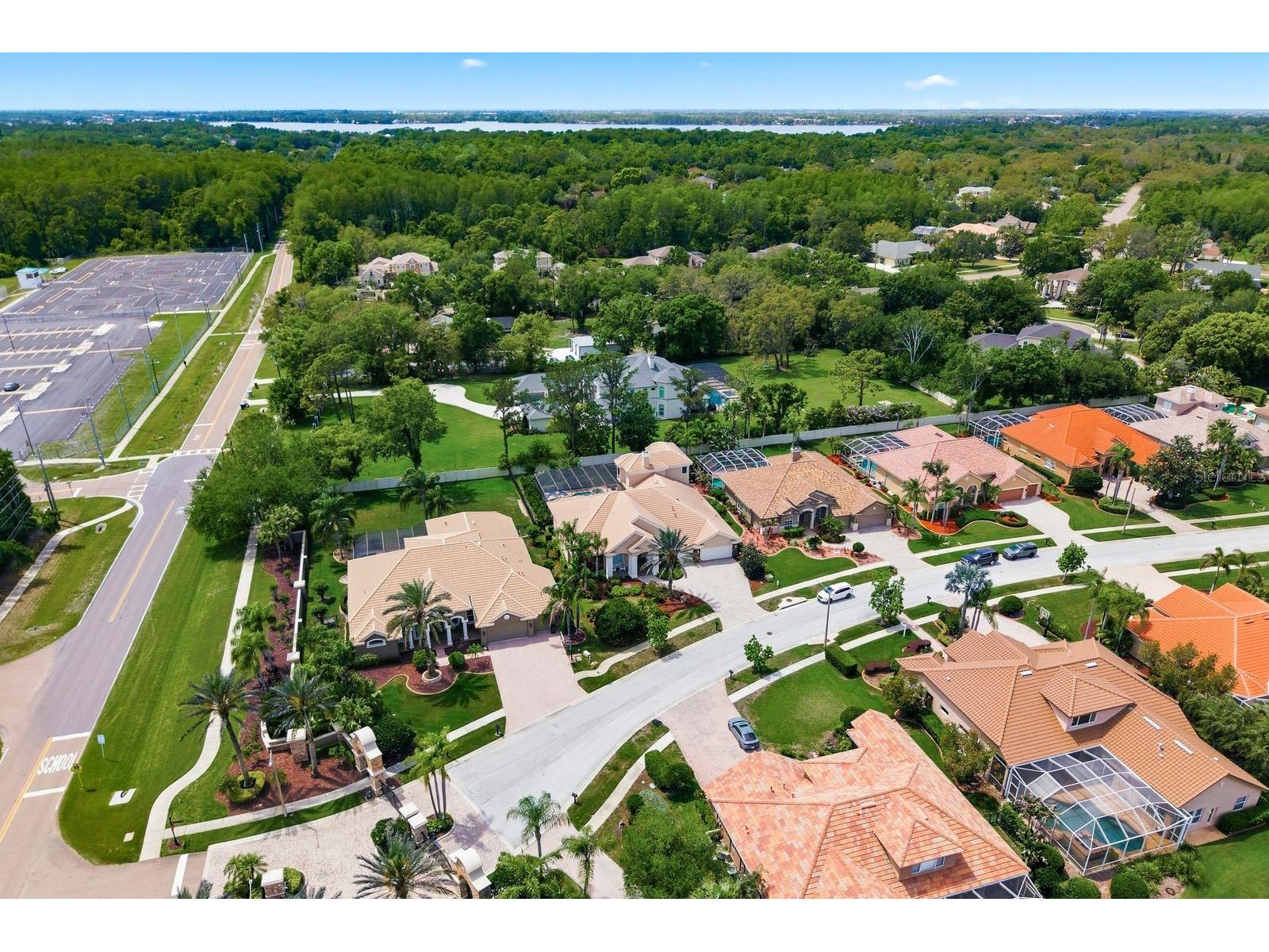 976 Cypress Cove Way Tarpon Springs FL 34688 TB8497692 image74