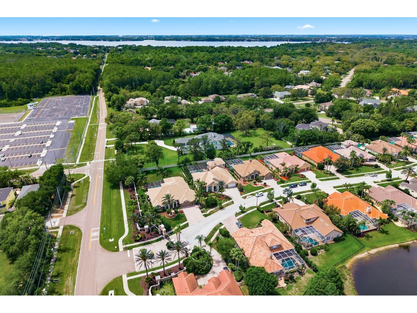 976 Cypress Cove Way Tarpon Springs FL 34688 TB8497692 image75