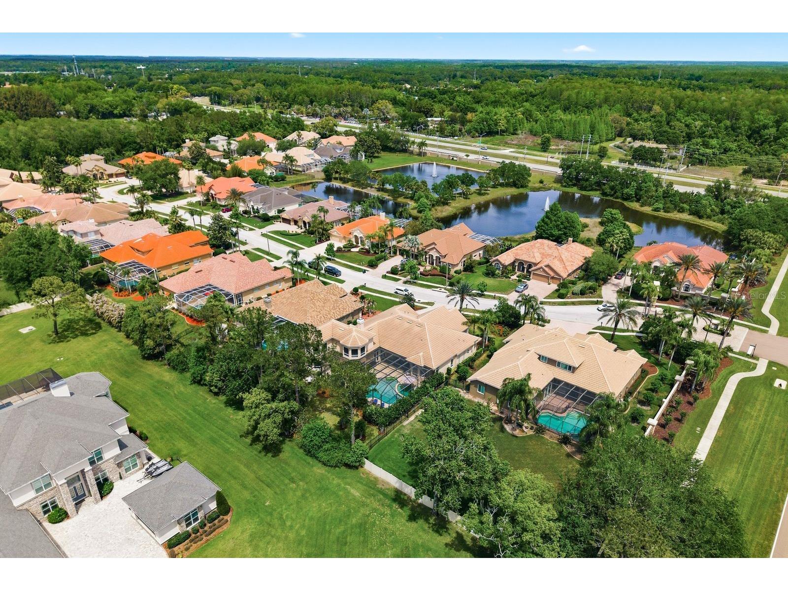 976 Cypress Cove Way Tarpon Springs FL 34688 TB8497692 image78
