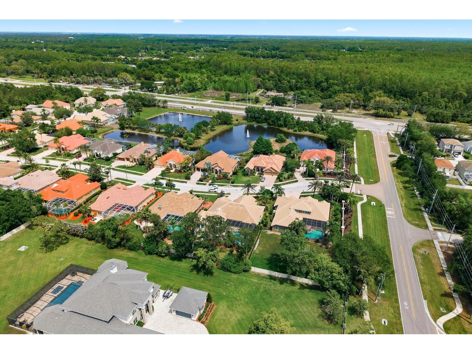 976 Cypress Cove Way Tarpon Springs FL 34688 TB8497692 image79