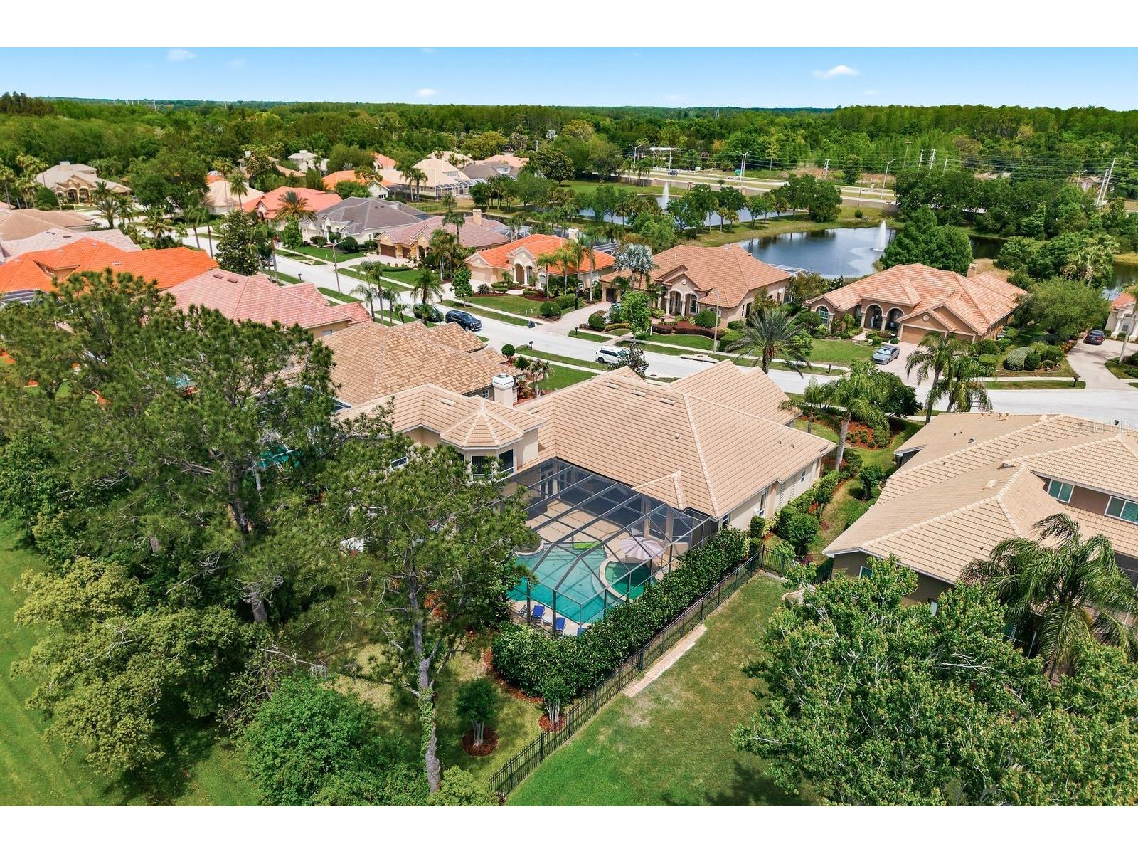 976 Cypress Cove Way Tarpon Springs FL 34688 TB8497692 image80