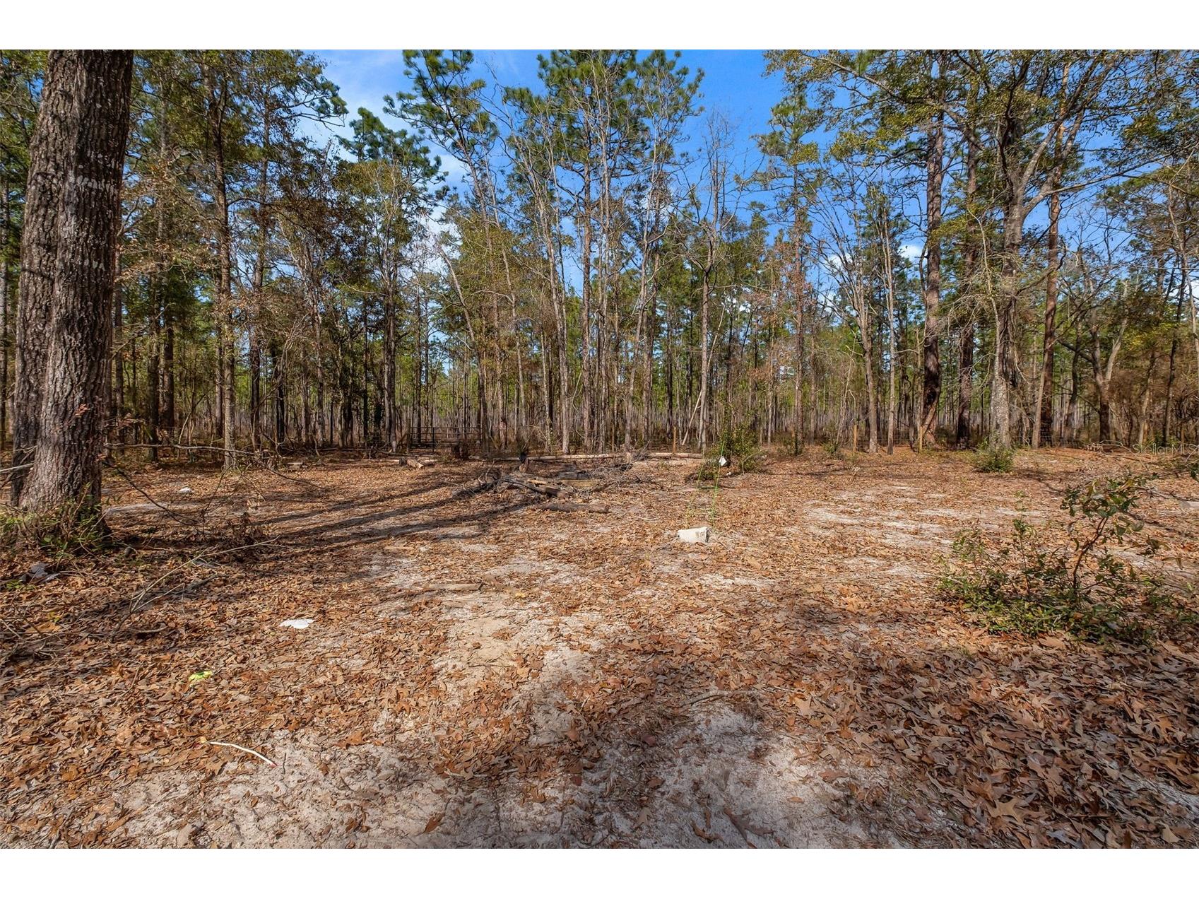 976 Hassell Drive Tallahassee FL 32305 TB8474619 image28