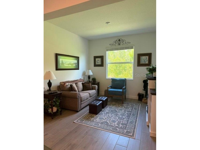 9760 Minnow Ray Drive Land O Lakes FL 34638 TB8518391 image12