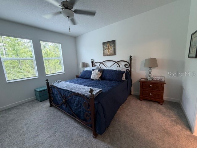 9760 Minnow Ray Drive Land O Lakes FL 34638 TB8518391 image13