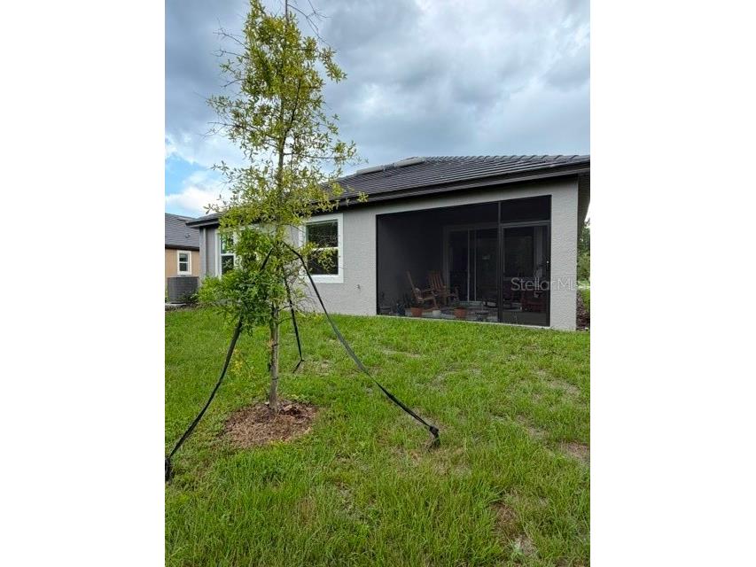 9760 Minnow Ray Drive Land O Lakes FL 34638 TB8518391 image20
