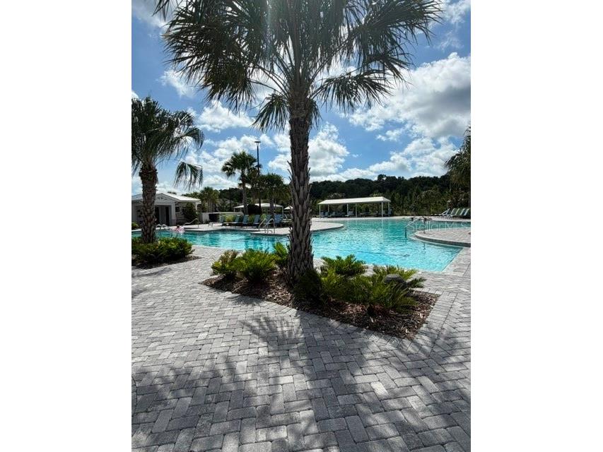 9760 Minnow Ray Drive Land O Lakes FL 34638 TB8518391 image28