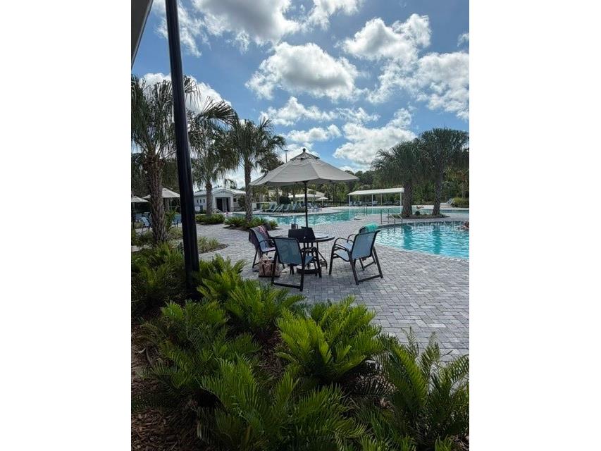 9760 Minnow Ray Drive Land O Lakes FL 34638 TB8518391 image29