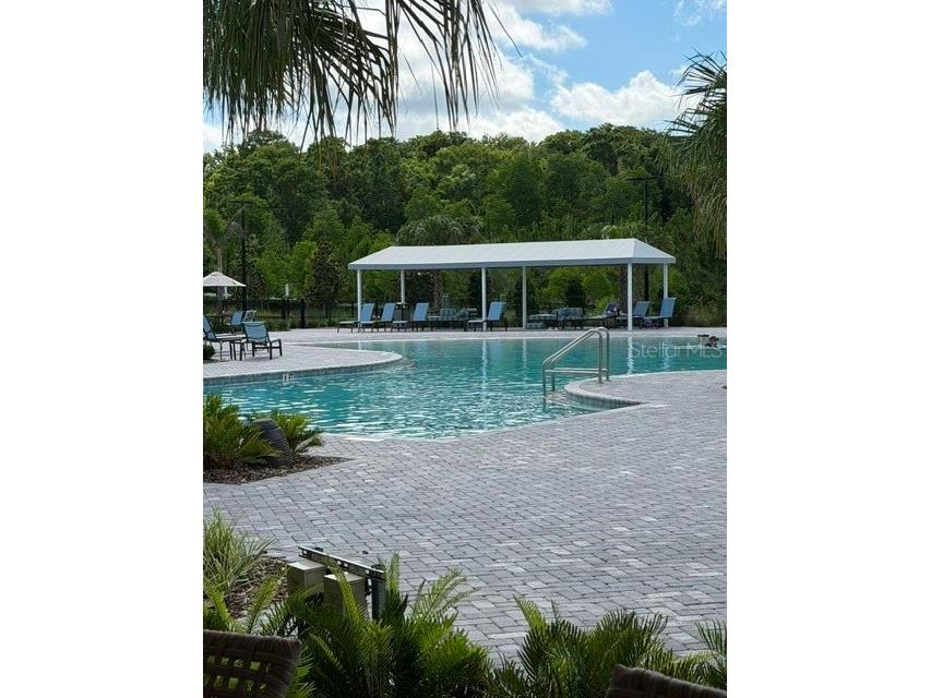 9760 Minnow Ray Drive Land O Lakes FL 34638 TB8518391 image30