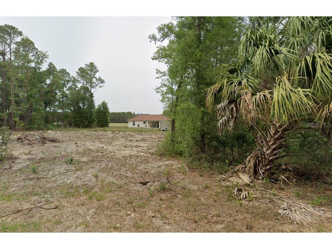 9761 W Watermelon Lane Crystal River FL 34428 O6199199 image1
