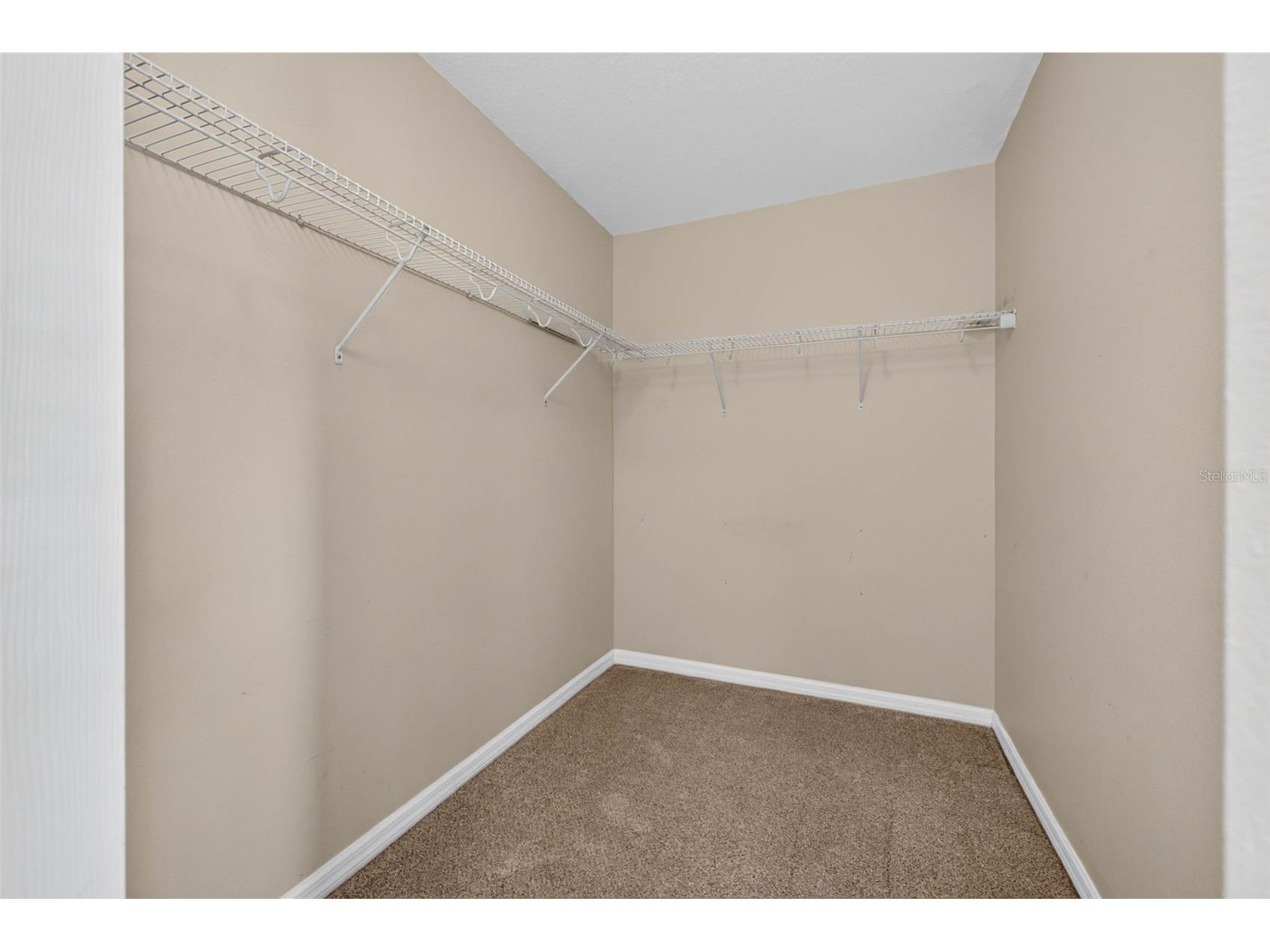 9763 Carlsdale Drive Riverview FL 33578 TB8524715 image26