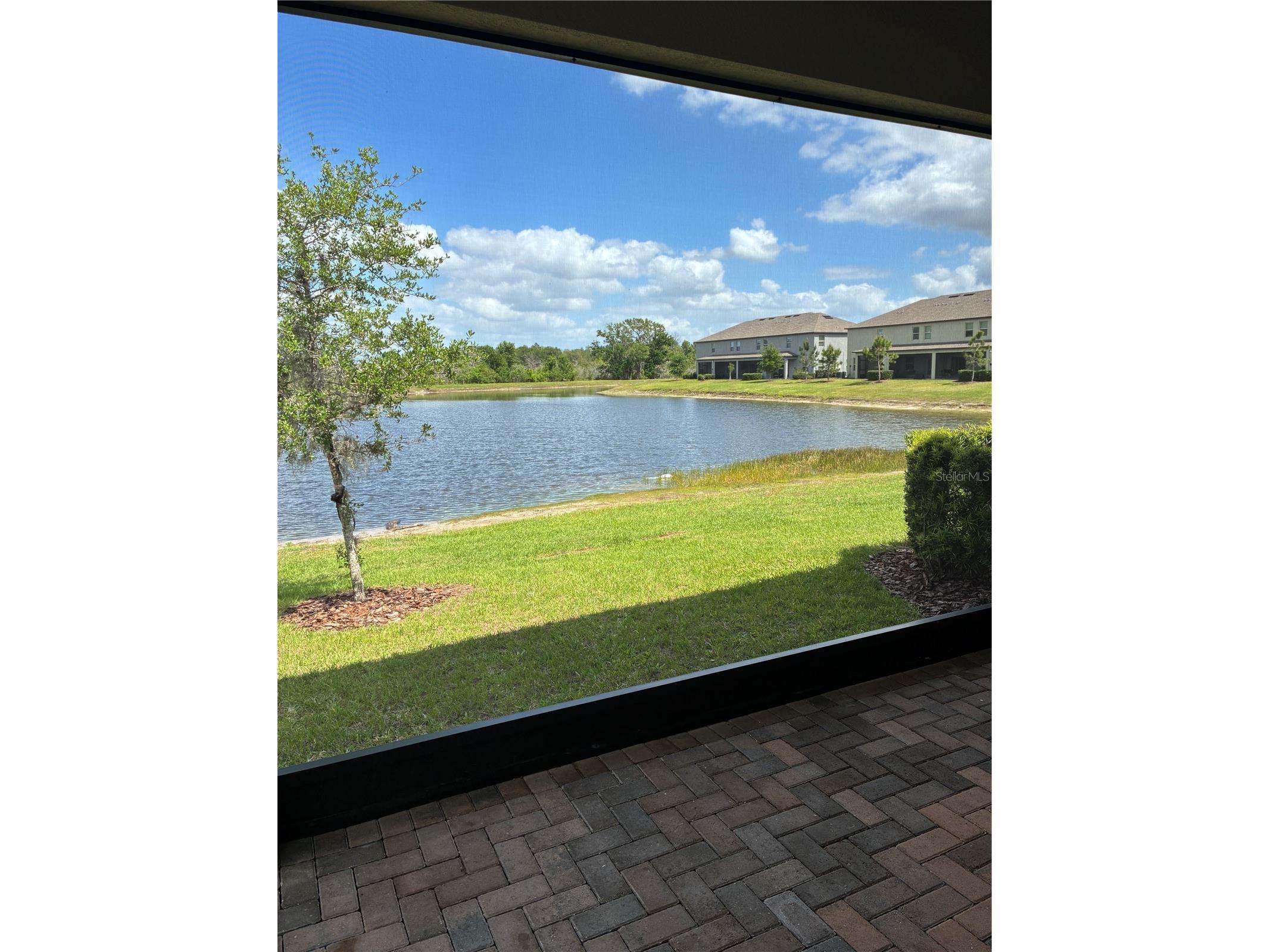9766 Campanula Court Land O Lakes FL 34637 TB8497804 image22