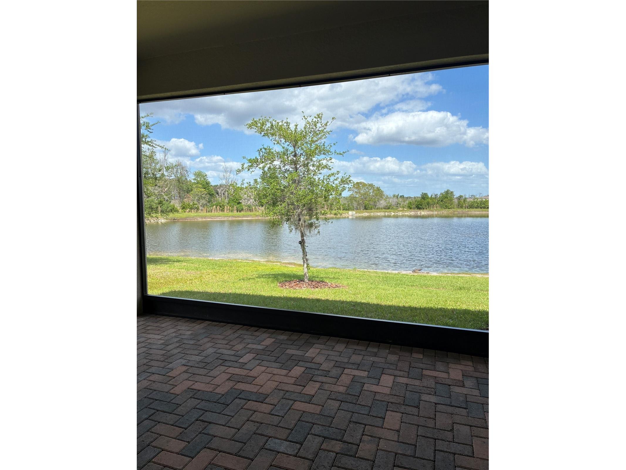 9766 Campanula Court Land O Lakes FL 34637 TB8497804 image23
