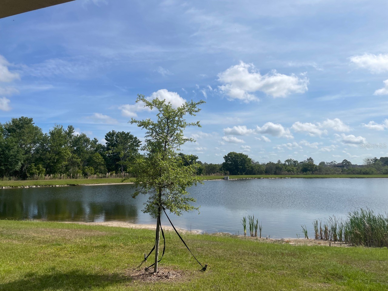 9766 Campanula Court Land O Lakes FL 34637 TB8497804 image24