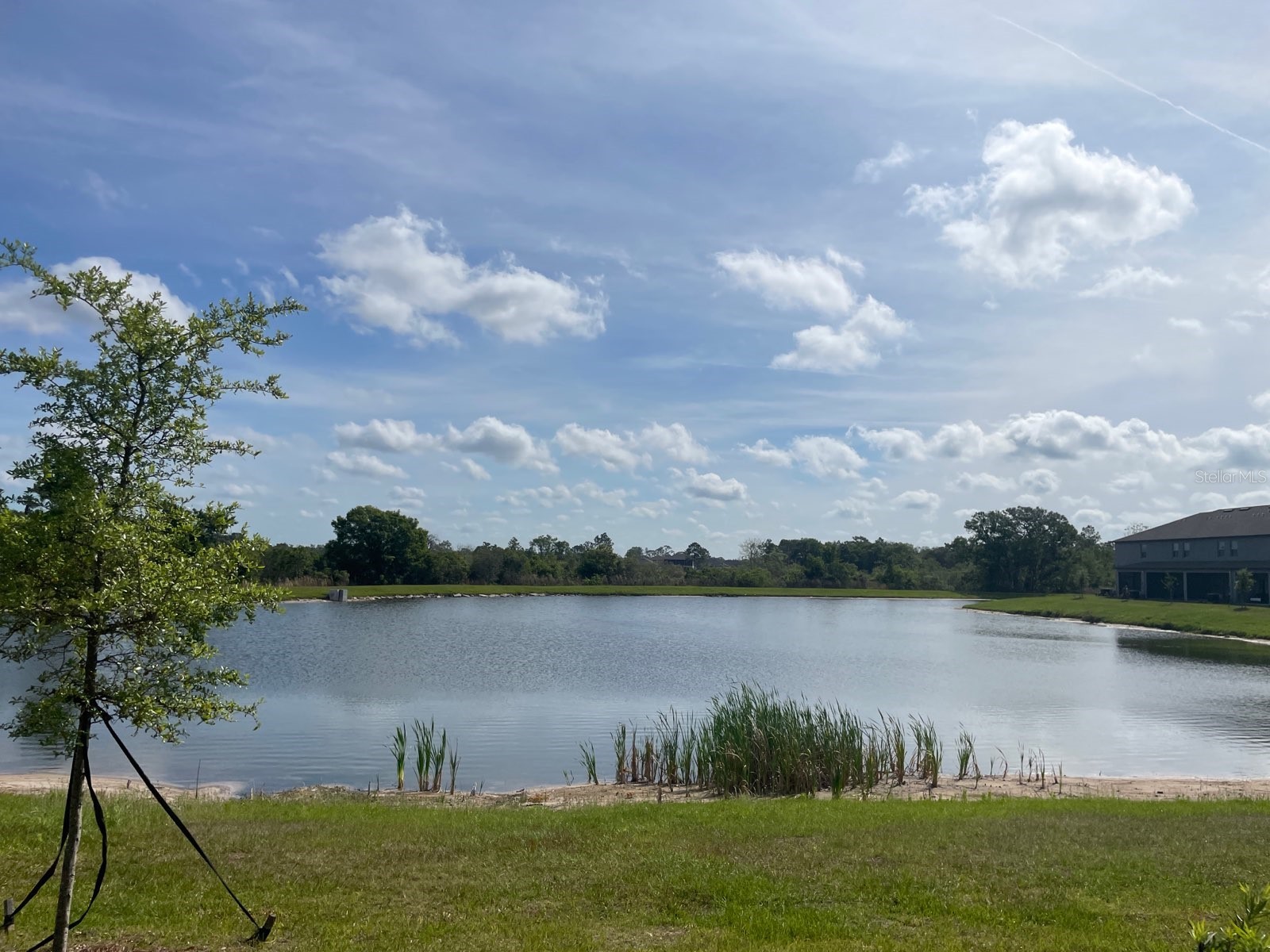 9766 Campanula Court Land O Lakes FL 34637 TB8497804 image25