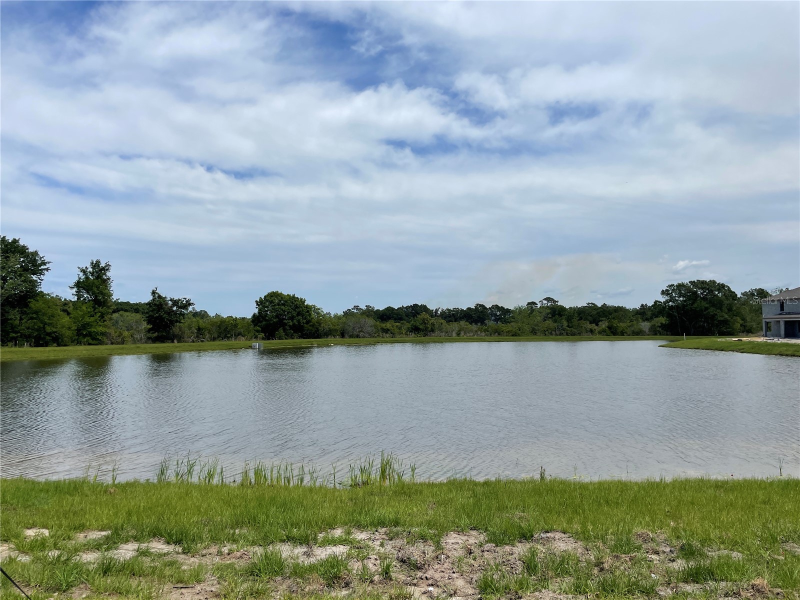 9766 Campanula Court Land O Lakes FL 34637 TB8497804 image26