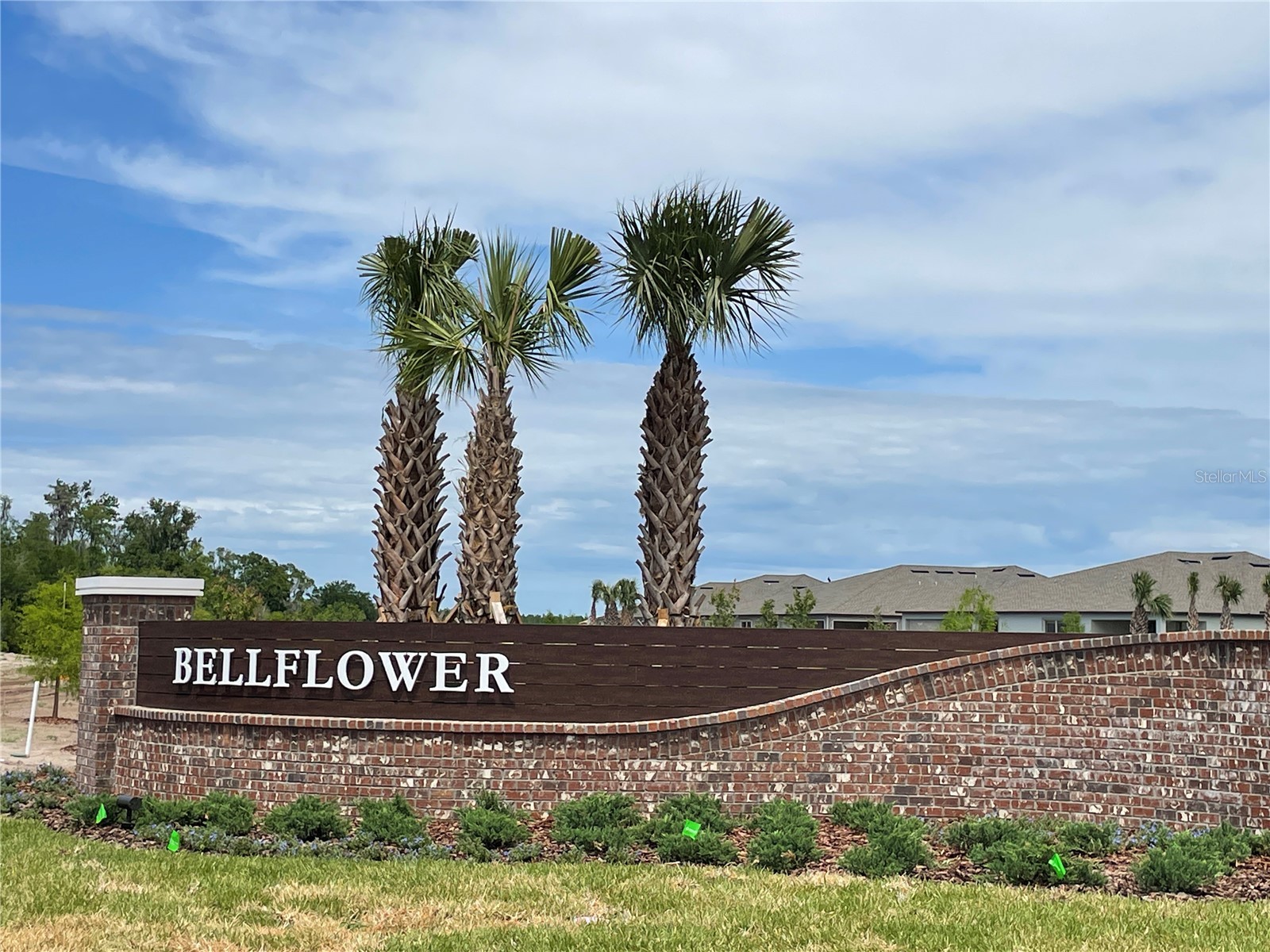 9766 Campanula Court Land O Lakes FL 34637 TB8497804 image27