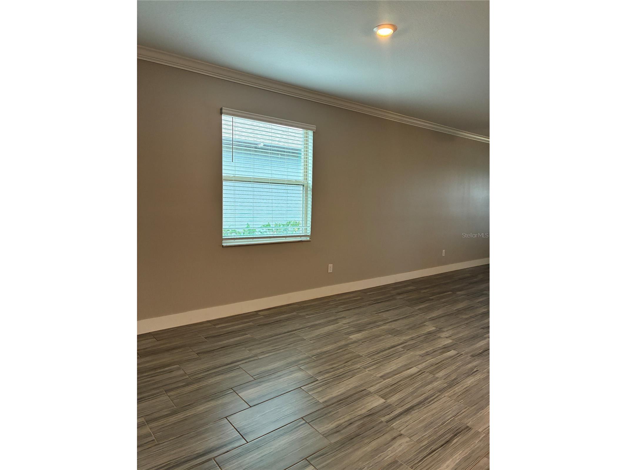 9766 Campanula Court Land O Lakes FL 34637 TB8497804 image4