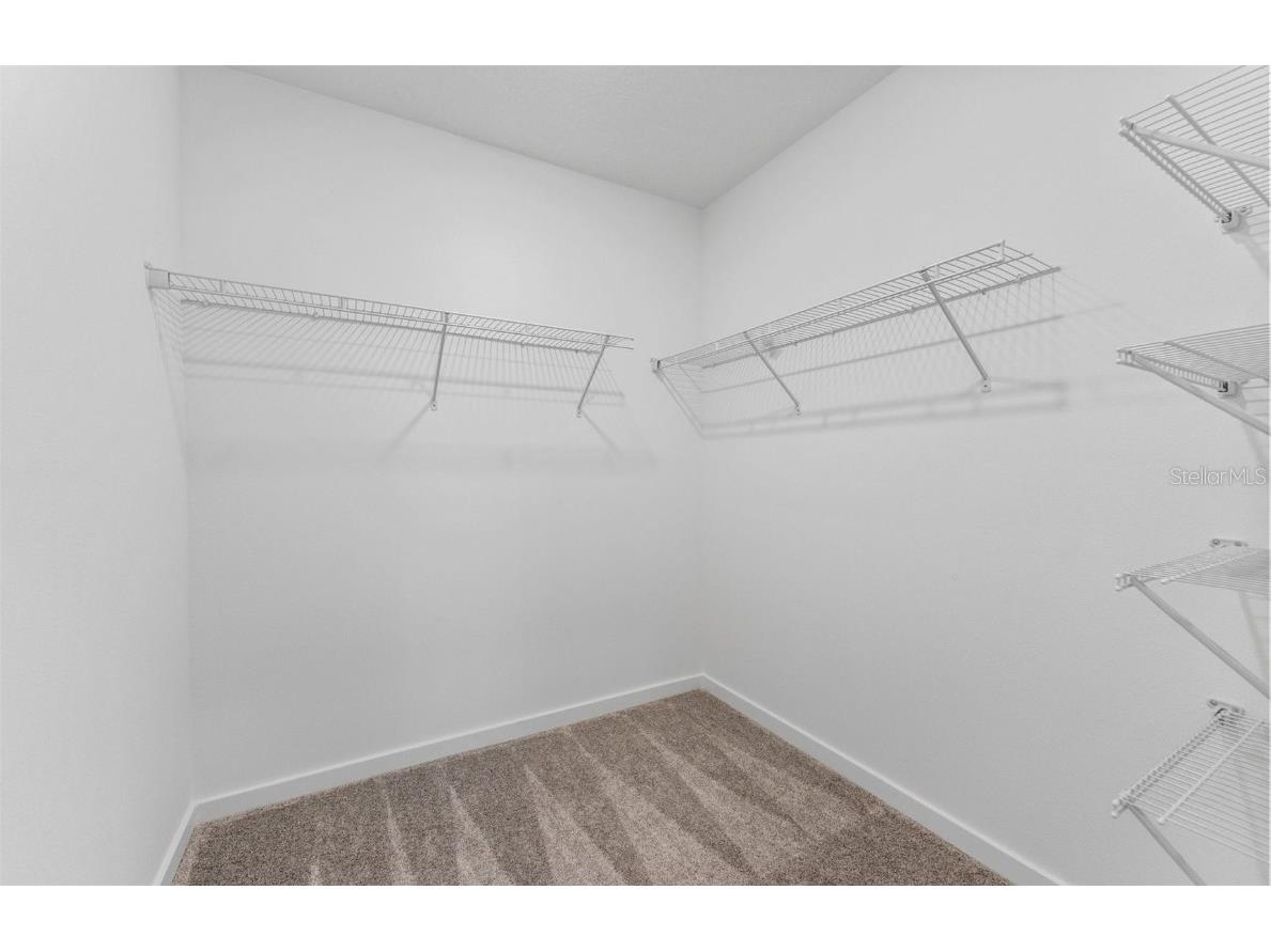 9767 Crescent Moon Drive Riverview FL 33578 TB8363903 image10