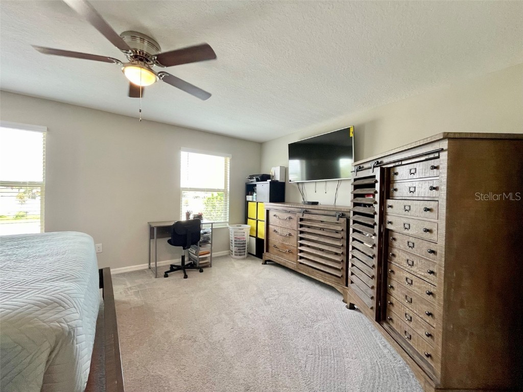 9767 Mulberry Marsh Lane Sun City Center FL 33573 TB8418042 image13