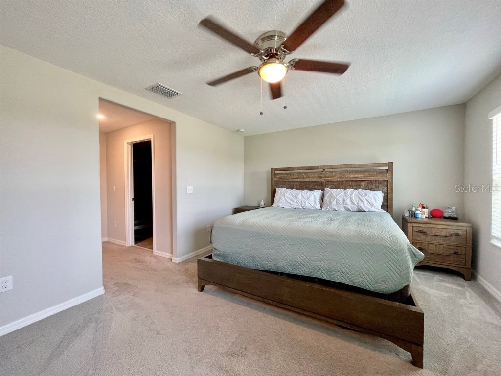 9767 Mulberry Marsh Lane Sun City Center FL 33573 TB8418042 image14