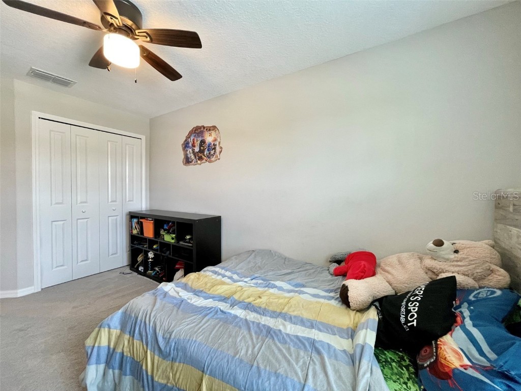 9767 Mulberry Marsh Lane Sun City Center FL 33573 TB8418042 image21