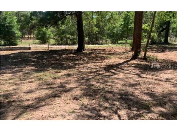 9767 SW 160th Street Dunnellon FL 34432 OM647474 image1