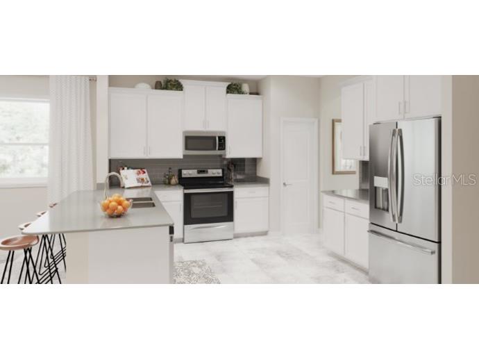 9769 Introduction Way Orlando FL 32832 T3458823 image1