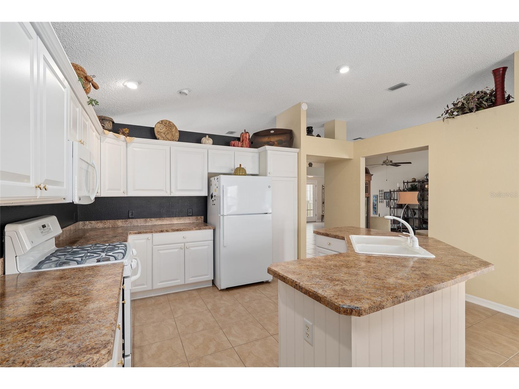 977 Caribou Way The Villages FL 32162 G5108540 image23